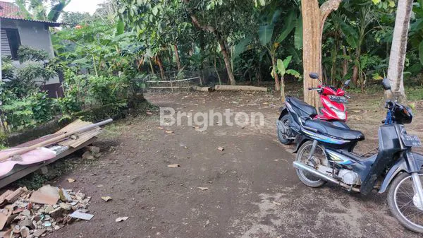 image TANAH DI PERKAMPUNGAN (5)