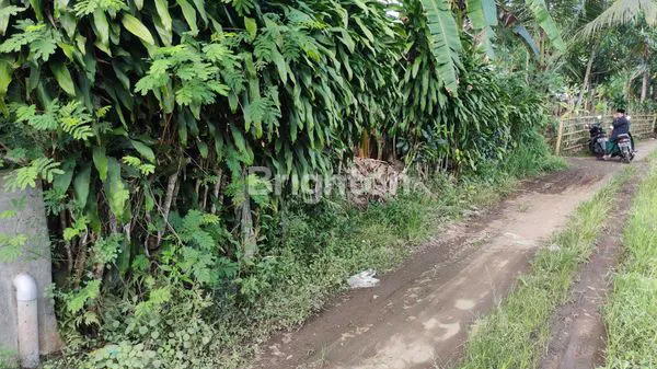 image TANAH DI PERKAMPUNGAN (2)