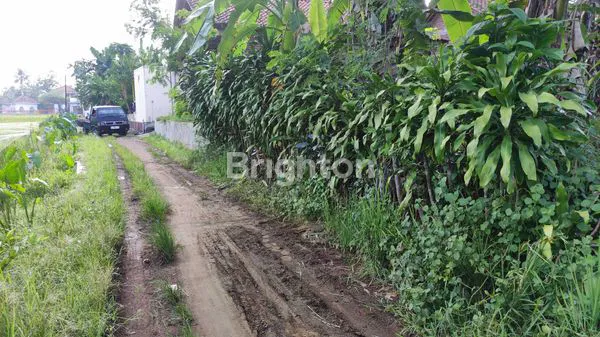 image TANAH DI PERKAMPUNGAN (1)