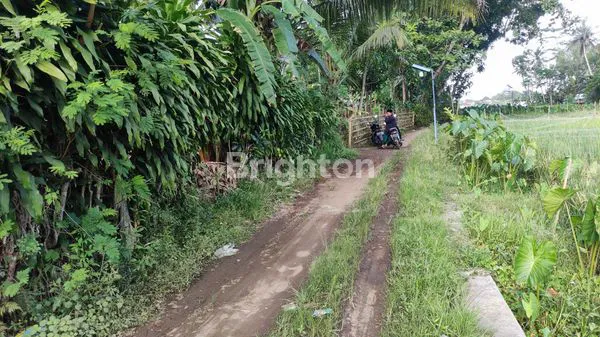 image TANAH DI PERKAMPUNGAN (5)