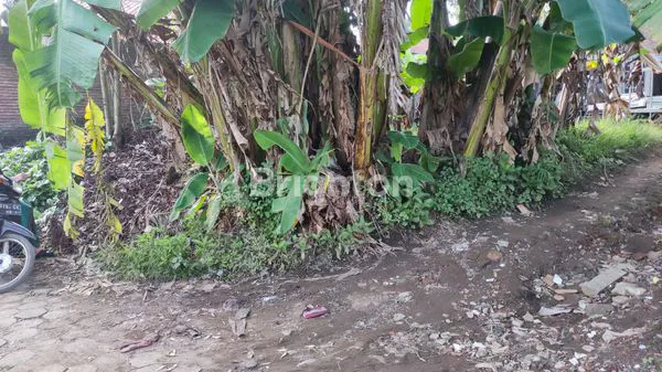 image TANAH UKURAN KECIL (5)