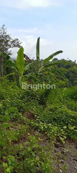 image DI JUAL TANAH YANG BERLOKASI DI TAMAN UJUNG KARANGASEM (2)