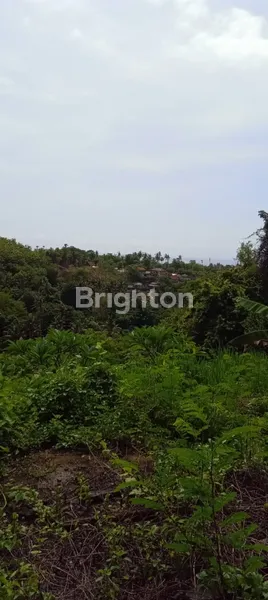 image DI JUAL TANAH YANG BERLOKASI DI TAMAN UJUNG KARANGASEM (3)