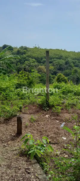 image DI JUAL TANAH YANG BERLOKASI DI TAMAN UJUNG KARANGASEM (4)