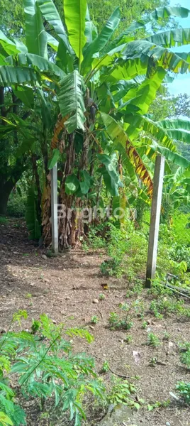 image DI JUAL TANAH YANG BERLOKASI DI TAMAN UJUNG KARANGASEM (5)