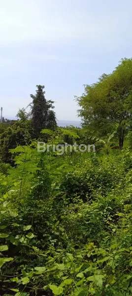 image DI JUAL TANAH YANG BERLOKASI DI TAMAN UJUNG KARANGASEM (7)