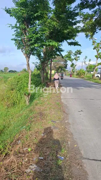 image TANAH TEPI JALAN LEBAR DAN MURAH (4)