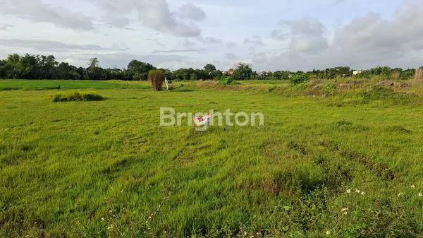 image TANAH TEPI JALAN LEBAR DAN MURAH (3)