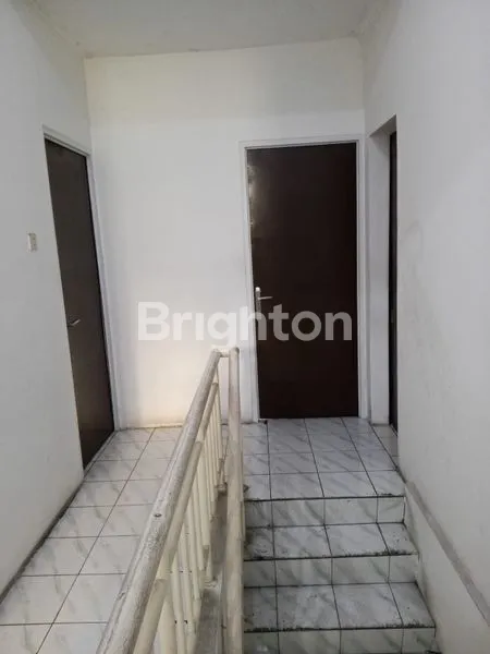 image RUKO DAAN MOGOT ARCADIA H3/11  (2)