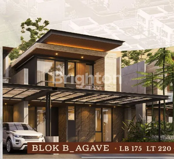 image BROWN BSB CITY  (1)