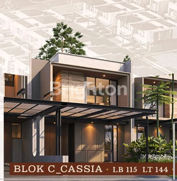 image BROWN BSB CITY  (2)