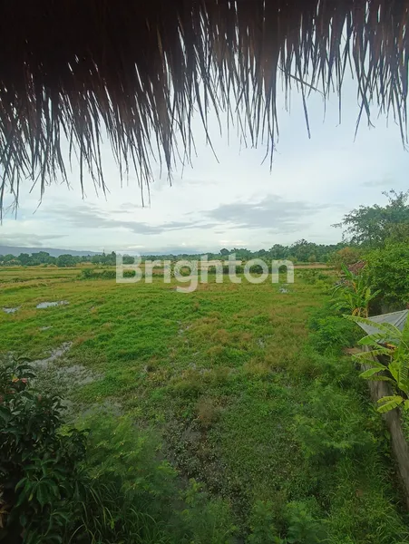 image DIJUAL RUMAH STYLE BALI DAN RUMAH KAYU VIEW SAWAH DAN BUKIT DEKAT PANTAI SANGSIT (6)