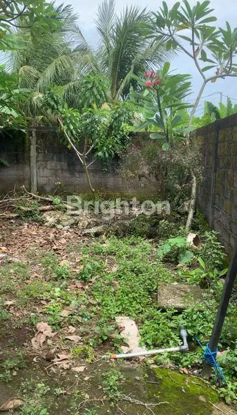 image PELUANG LANGKA! TANAH STRATEGIS BONUS BANGUNAN DI KAWASAN BERKEMBANG SANGGULAN, TABANAN (7)