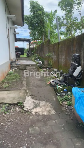 image PELUANG LANGKA! TANAH STRATEGIS BONUS BANGUNAN DI KAWASAN BERKEMBANG SANGGULAN, TABANAN (8)