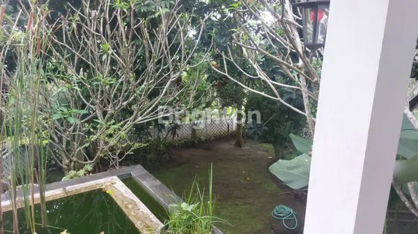 image RUMAH BAGUS , LUAS , ASRI SALATIGA  (6)