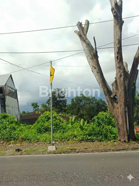 image DI JUAL TANAH STRATEGIS DI TABANAN! (3)