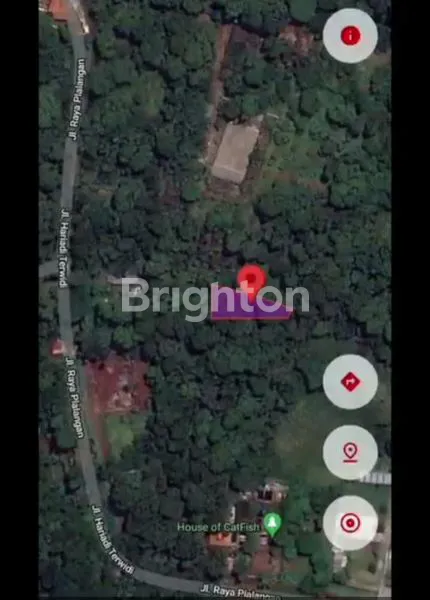 image INVESTASI TANAH KEBUN DURIAN KEL. PLALANGAN KEC. GUNUNGPATI (7)