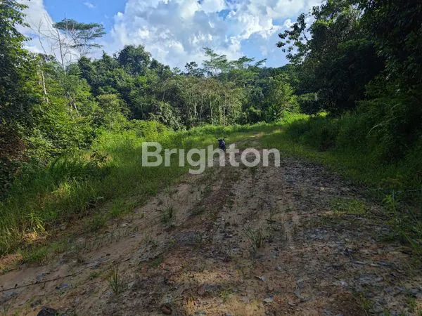 image TANAH BERSERTIFIKAT HAK PAKAI 1 HEKTARE LEBIH DI PAMPANG SAMARINDA (1)