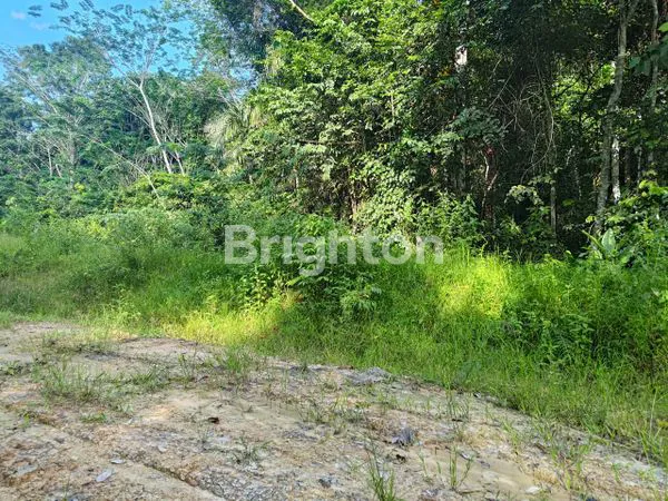 image TANAH BERSERTIFIKAT HAK PAKAI 1 HEKTARE LEBIH DI PAMPANG SAMARINDA (3)