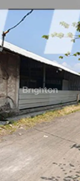 image JUAL CEPAT !!! TANAH DAN BANGUNAN (4)