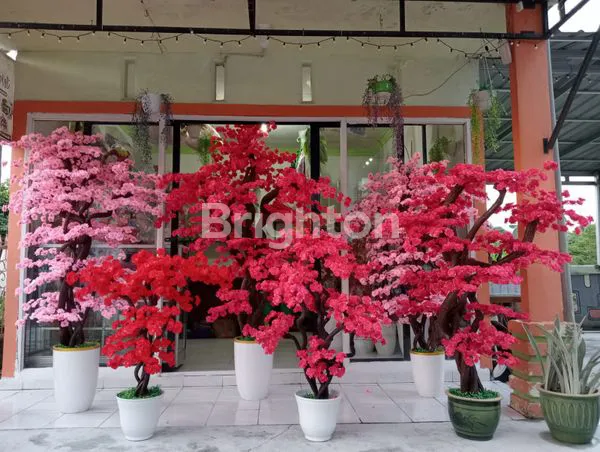 image RUMAH 2 LANTAI ELEGAN SIAP HUNI BESERTA FURNISHED JALAN SELAYAR PONTIANAK (7)