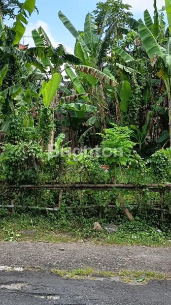image SEWA TANAH ±560 M² DI DENPASAR UTARA | COCOK UNTUK RUMAH & INVESTASI | MIN. 5 TAHUN (2)