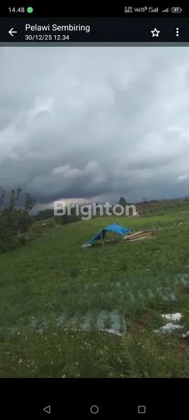 image INVESTASI MASA DEPAN: TANAH PERTANIAN 25 HEKTAR, SERTIFIKAT SHM (3)