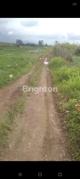 INVESTASI MASA DEPAN: TANAH PERTANIAN 25 HEKTAR, SERTIFIKAT SHM