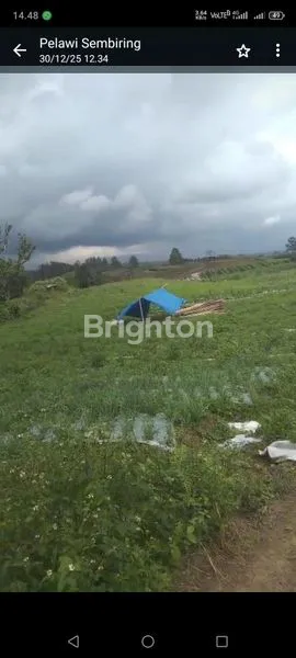 image INVESTASI MASA DEPAN: TANAH PERTANIAN 25 HEKTAR, SERTIFIKAT SHM (5)