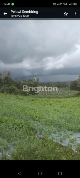 image INVESTASI MASA DEPAN: TANAH PERTANIAN 25 HEKTAR, SERTIFIKAT SHM (4)