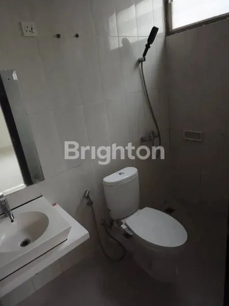 image CLUSTER FOGLIO FORESTA BSD (6)