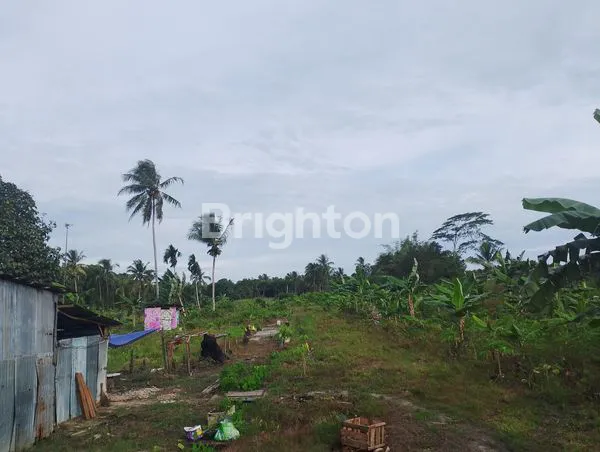 image TANAH JALAN POROS SAMBOJA (1)