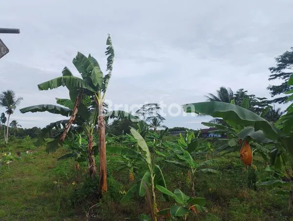 image TANAH JALAN POROS SAMBOJA (2)