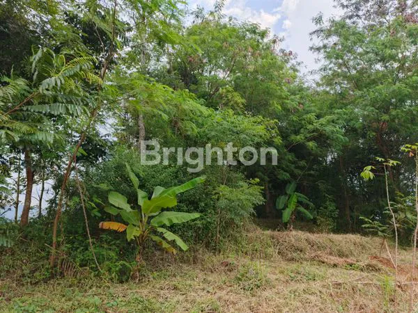 image TANAH  DI KAMPUNG KELEPUJAJAR GARUT  (3)