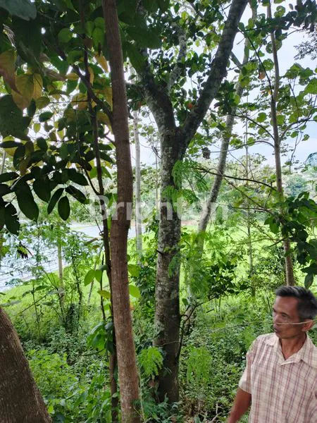 image TANAH  DI KAMPUNG KELEPUJAJAR GARUT  (4)