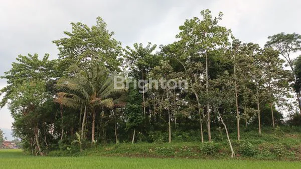 image TANAH  DI KAMPUNG KELEPUJAJAR GARUT  (1)