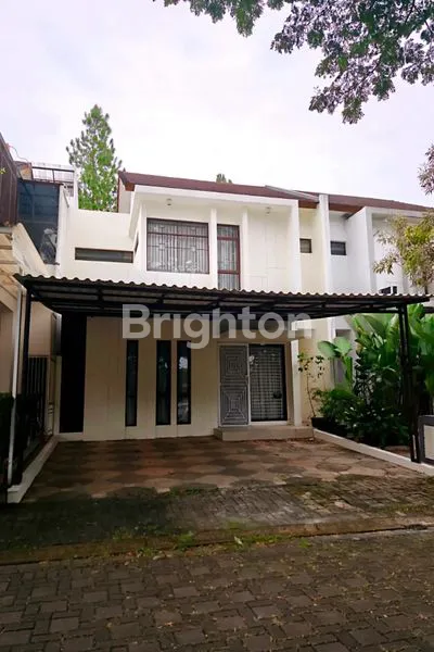 image CLUSTER FOGLIO FORESTA BSD (1)