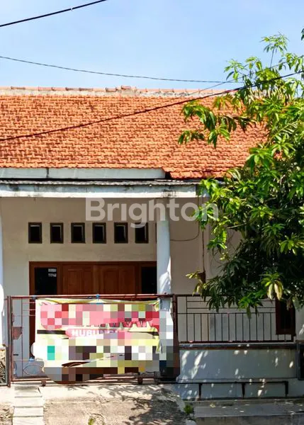 image RUMAH SIAP HUNI DITENGAH KOTA SEMARANG DITENGAH PEMUKIMAN PADAT PENDUDUK (1)