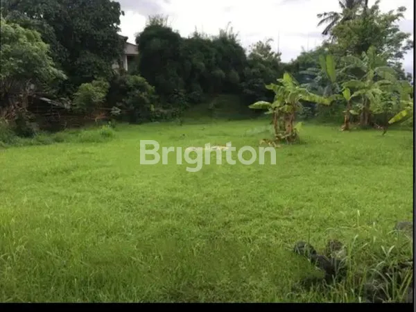 image (NEW) DIJUAL TANAH KAVLING – SELAT LOVINA, BULELENG (2)