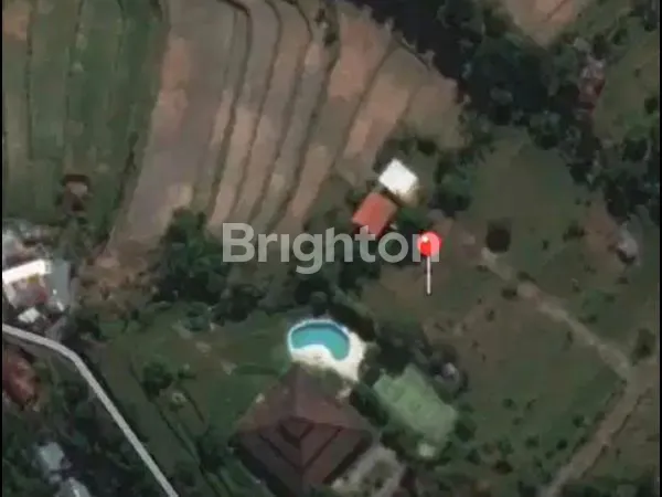 image (NEW) DIJUAL TANAH KAVLING – SELAT LOVINA, BULELENG (4)