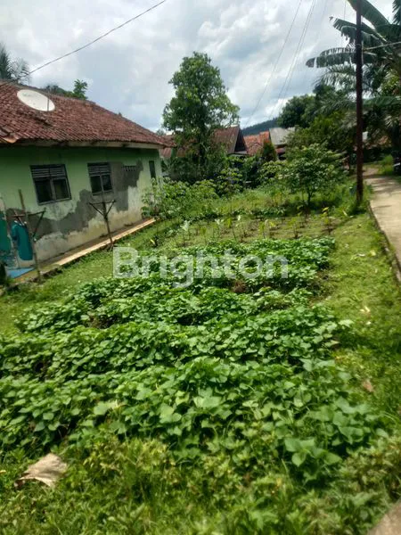 image TANAH DATAR 200M² DI CANDALI, BOGOR, COCOK KEBUN & INVESTASI (1)