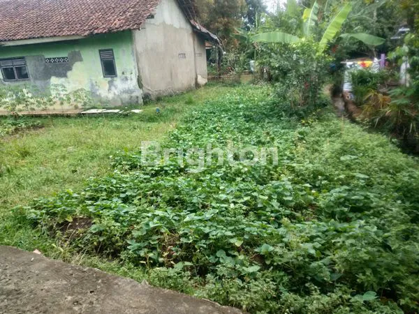 image TANAH DATAR 200M² DI CANDALI, BOGOR, COCOK KEBUN & INVESTASI (2)