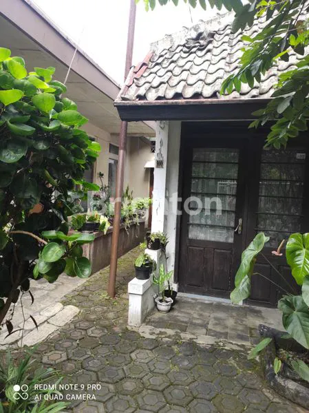 image KEBON SIRIH STRATEGIS  BUTUH CEPAT LAKU (5)