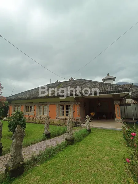 image DIJUAL TANAH LUAS PINGGIR DANAU BUYAN DI PANCASARI BEDUGUL (1)