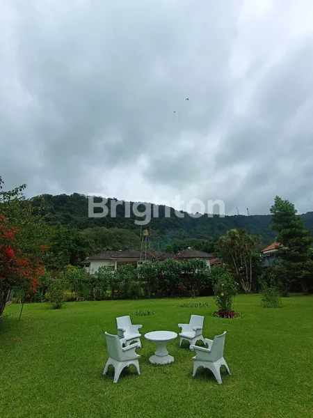 image DIJUAL TANAH LUAS PINGGIR DANAU BUYAN DI PANCASARI BEDUGUL (5)