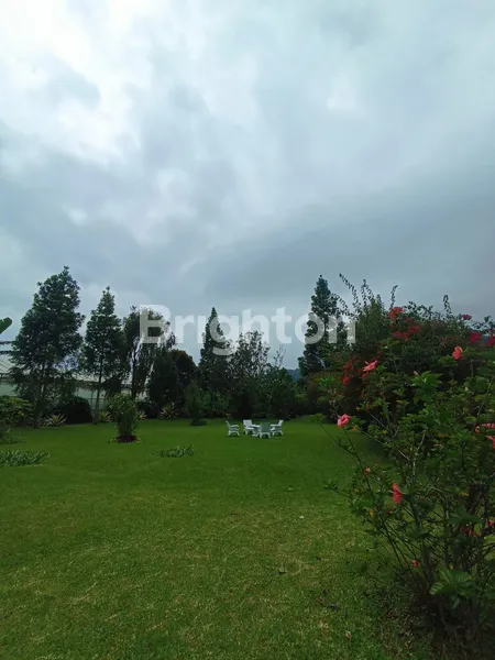 image DIJUAL TANAH LUAS PINGGIR DANAU BUYAN DI PANCASARI BEDUGUL (6)