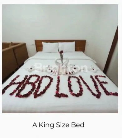 image STUDIO MEWAH DI CANGGU, DEKAT FINS CLUB (5)