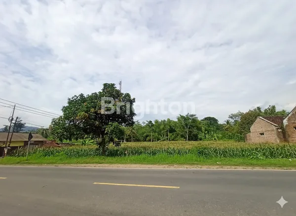 TANAH PEKARANGAN JL NASIONAL