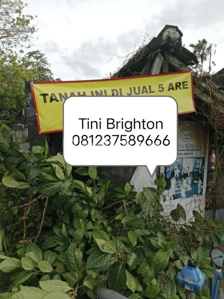 image TANAH KOMERSIAL PREMIUM LOKASI CANGGU (1)