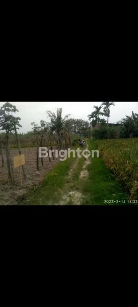 image SEBIDANG TANAH DI PASAR 7 TEMBUNG HARGA RP. 160.000.000 (1)